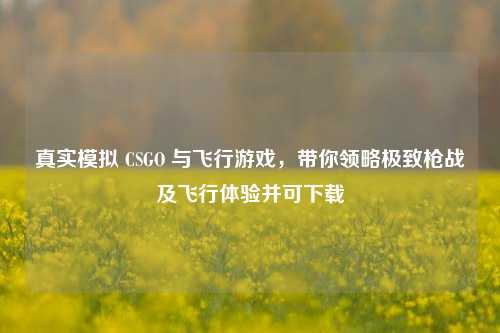 真实模拟 CSGO 与飞行游戏，带你领略极致枪战及飞行体验并可下载