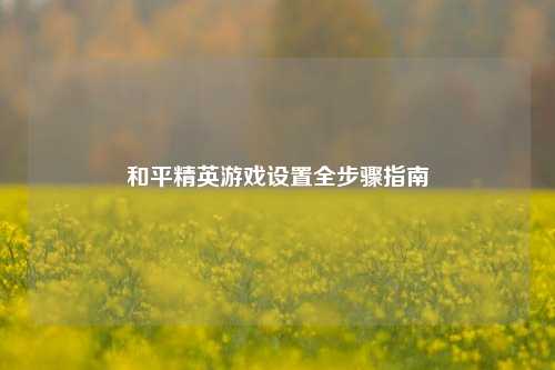 和平精英游戏设置全步骤指南