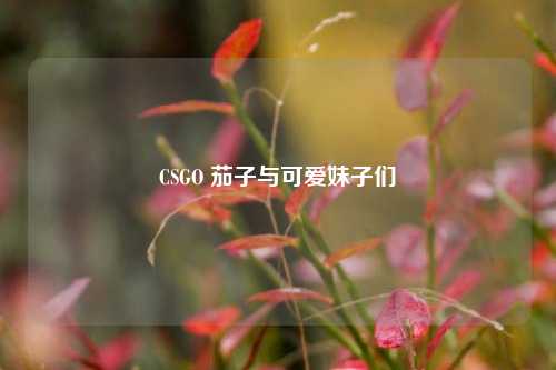 CSGO 茄子与可爱妹子们