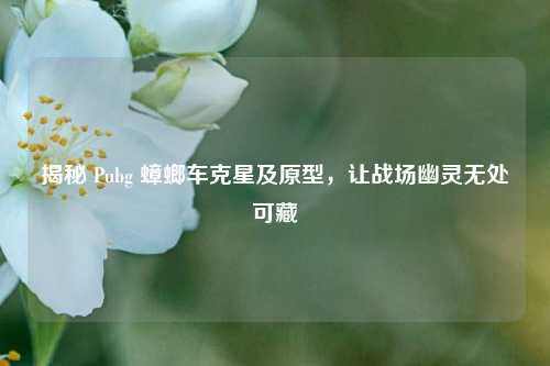 揭秘 Pubg 蟑螂车克星及原型，让战场幽灵无处可藏