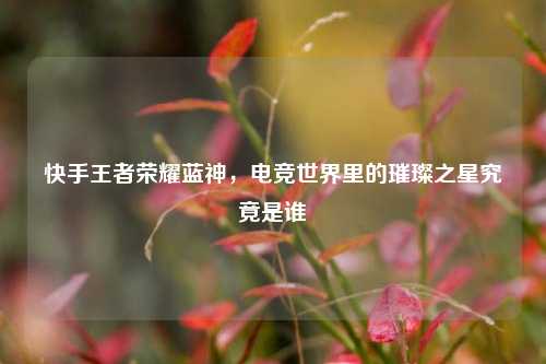 快手王者荣耀蓝神，电竞世界里的璀璨之星究竟是谁