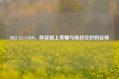 2022 G2 CSGO，阵容踏上荣耀与挑战交织的征程