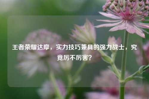 王者荣耀达摩，实力技巧兼具的强力战士，究竟厉不厉害？