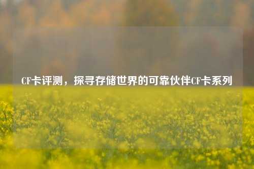 CF卡评测，探寻存储世界的可靠伙伴CF卡系列