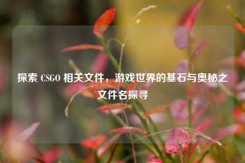 探索 CSGO 相关文件，游戏世界的基石与奥秘之文件名探寻