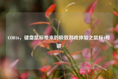 COD16，键盘鼠标带来的极致游戏体验之鼠标4号键