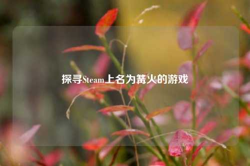 探寻Steam上名为篝火的游戏