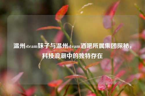 温州steam妹子与温州steam酒吧所属集团探秘，科技浪潮中的独特存在