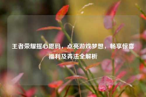 王者荣耀摇心愿码，点亮游戏梦想，畅享惊喜福利及弄法全解析