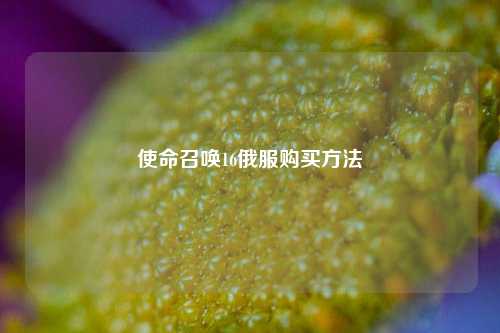 使命召唤16俄服购买方法