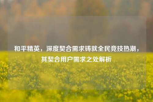 和平精英，深度契合需求铸就全民竞技热潮，其契合用户需求之处解析