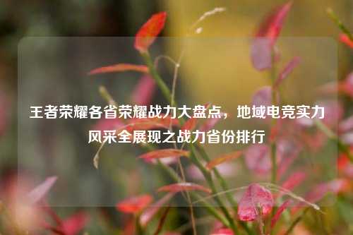 王者荣耀各省荣耀战力大盘点，地域电竞实力风采全展现之战力省份排行