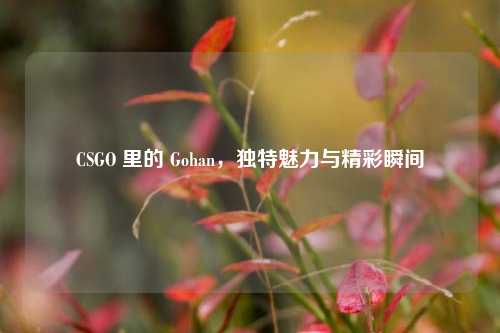 CSGO 里的 Gohan，独特魅力与精彩瞬间