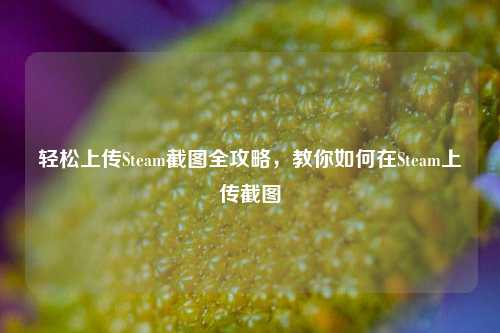 轻松上传Steam截图全攻略，教你如何在Steam上传截图