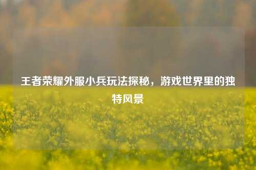 王者荣耀外服小兵玩法探秘，游戏世界里的独特风景
