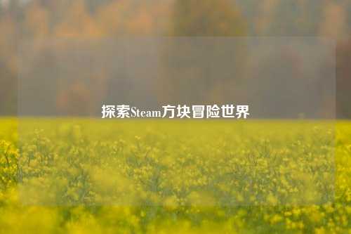 探索Steam方块冒险世界