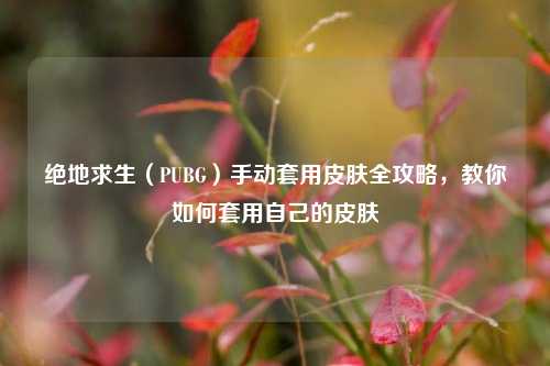 绝地求生（PUBG）手动套用皮肤全攻略，教你如何套用自己的皮肤