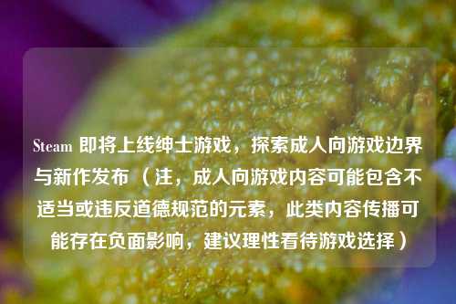 Steam 即将上线绅士游戏，探索成人向游戏边界与新作发布 （注，成人向游戏内容可能包含不适当或违反道德规范的元素，此类内容传播可能存在负面影响，建议理性看待游戏选择）