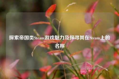 探索帝国类Steam游戏魅力及探寻其在Steam上的名称