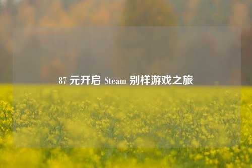 87 元开启 Steam 别样游戏之旅