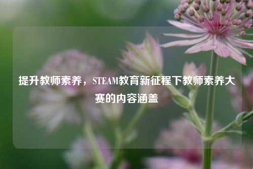 提升教师素养，STEAM教育新征程下教师素养大赛的内容涵盖