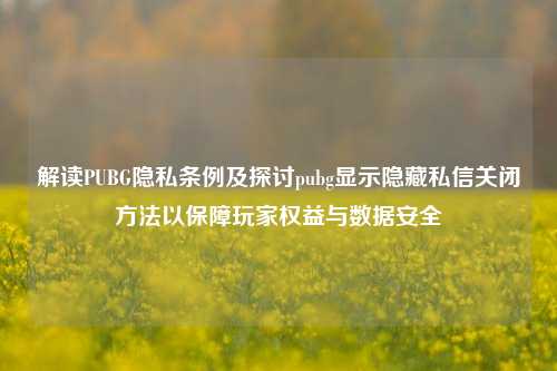 解读PUBG隐私条例及探讨pubg显示隐藏私信关闭方法以保障玩家权益与数据安全