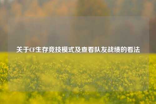 关于CF生存竞技模式及查看队友战绩的看法