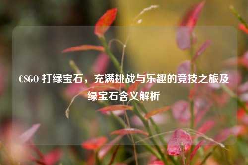 CSGO 打绿宝石，充满挑战与乐趣的竞技之旅及绿宝石含义解析