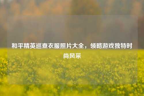 和平精英巡查衣服照片大全，领略游戏独特时尚风采