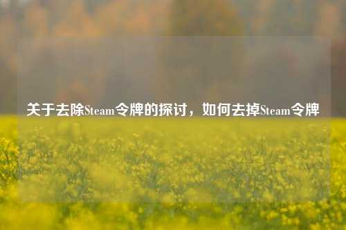 关于去除Steam令牌的探讨，如何去掉Steam令牌