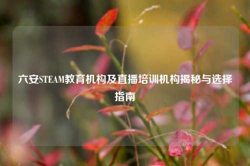 六安STEAM教育机构及直播培训机构揭秘与选择指南