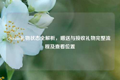 Steam礼物状态全解析，赠送与接收礼物完整流程及查看位置