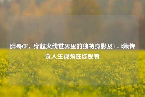 胖哥CF，穿越火线世界里的独特身影及1 - 8集传奇人生视频在线观看