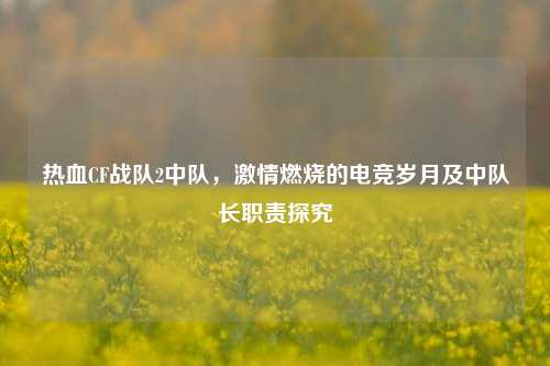 热血CF战队2中队，激情燃烧的电竞岁月及中队长职责探究