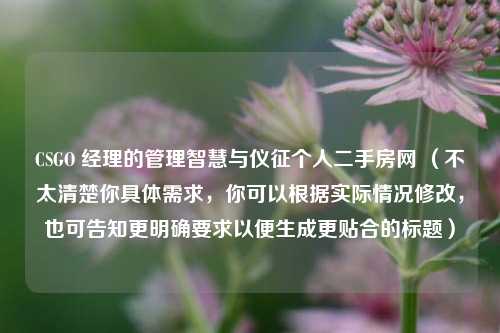 CSGO 经理的管理智慧与仪征个人二手房网 （不太清楚你具体需求，你可以根据实际情况修改，也可告知更明确要求以便生成更贴合的标题）