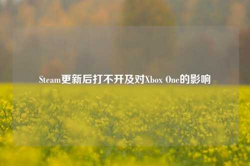 Steam更新后打不开及对Xbox One的影响
