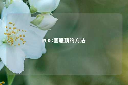 PUBG国服预约方法