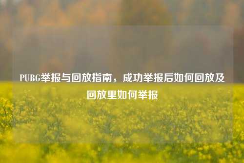 PUBG举报与回放指南，成功举报后如何回放及回放里如何举报
