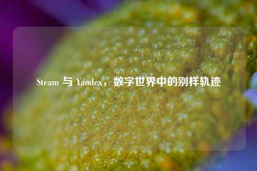 Steam 与 Yandex，数字世界中的别样轨迹