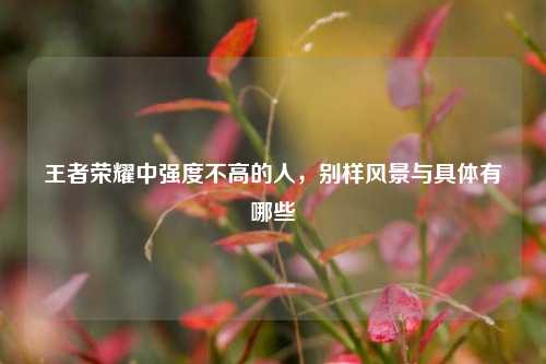 王者荣耀中强度不高的人，别样风景与具体有哪些