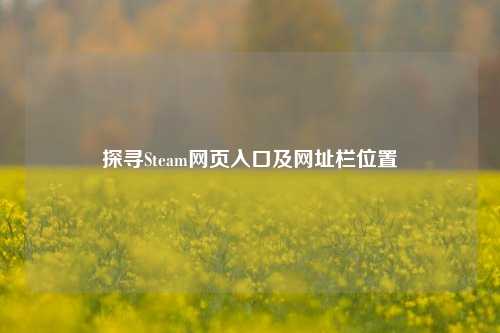 探寻Steam网页入口及网址栏位置