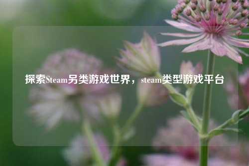 探索Steam另类游戏世界，steam类型游戏平台