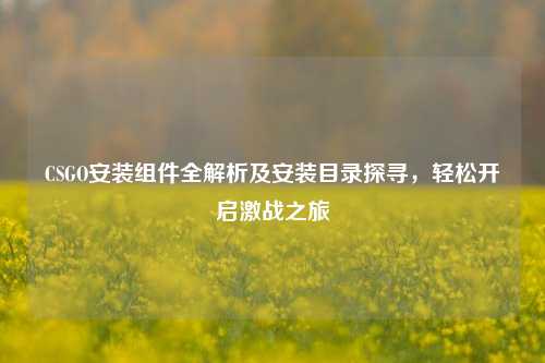 CSGO安装组件全解析及安装目录探寻，轻松开启激战之旅