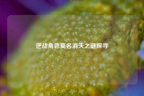 逆战角色莫名消失之谜探寻