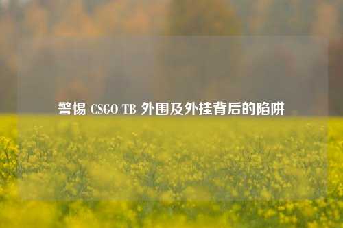 警惕 CSGO TB 外围及外挂背后的陷阱