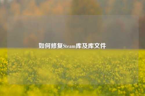 如何修复Steam库及库文件