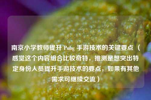 南京小学教师提升 Pubg 手游技术的关键要点 （感觉这个内容组合比较奇特，推测是想突出特定身份人员提升手游技术的要点，如果有其他需求可继续交流）