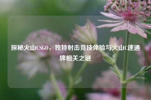 探秘火山CSGO，独特射击竞技体验与火山C速通牌相关之谜