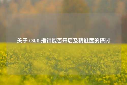 关于 CSGO 指针能否开启及精准度的探讨