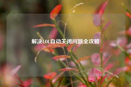 解决LOL自动关闭问题全攻略